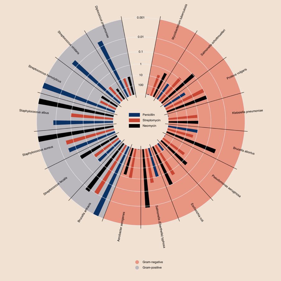 Will Burtin's circular diagram (1951) showing the effectiveness of three antibiotics against various bacteria: bars in three colors arranged in a circle, hard to compare